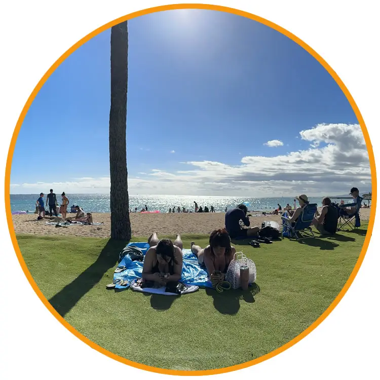 relaxing at the beach with a big sky and palm tree