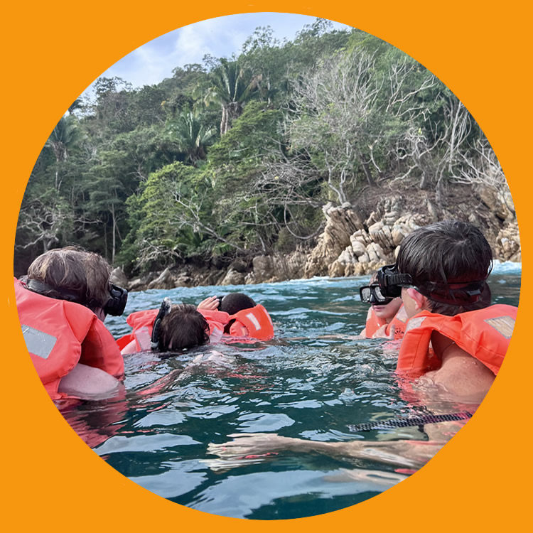 in the sea, snorkeling