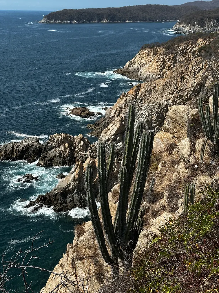 View from the lighthouse